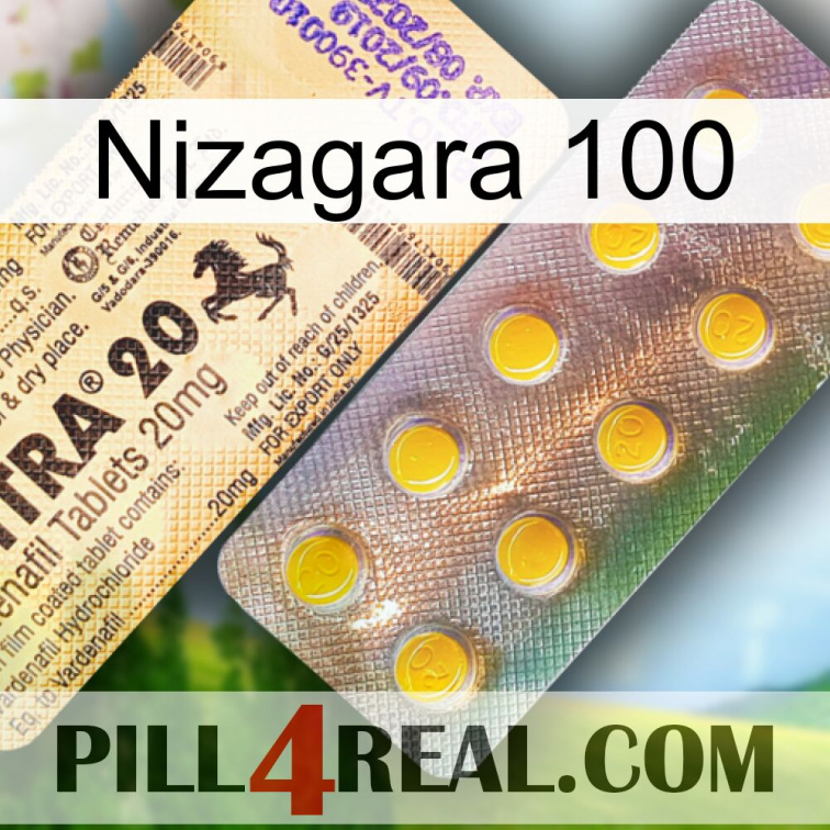 Nizagara 100 new06